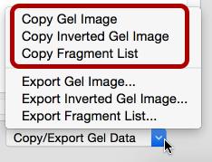 Export the Gel Data How do I print, copy or save the gel and/or fragment list?