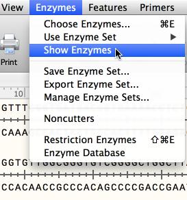 Show or Hide Enzymes Enzymes displayed in Sequence and Map