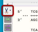 Toggle the Enyzme Visibility Using the Side Toolbar Clicking the "Show enzymes" (scissors) button in the