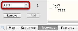 Search for an Enzyme To search for an enzyme within the enzyme set, enter its name in the