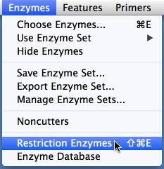 View Enzyme Information Detailed enzyme information is available in the Restriction Enzymes window by clicking or typing the enzyme name, while a synopsis is