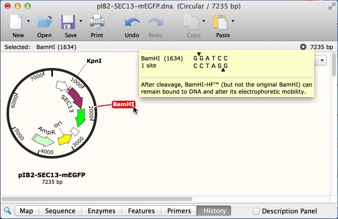 View a Synopsis of Enzyme Information To show a synopsis of
