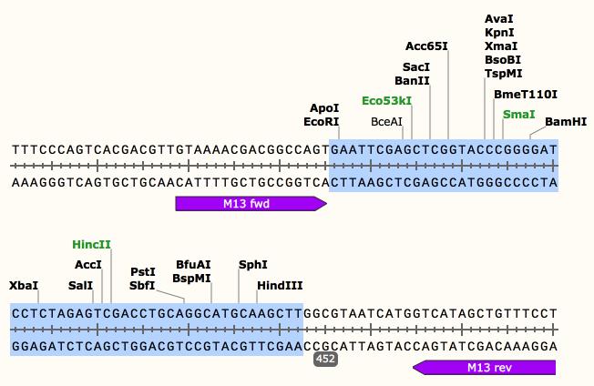 Create a Simple Feature How can I designate a feature within a DNA sequence?