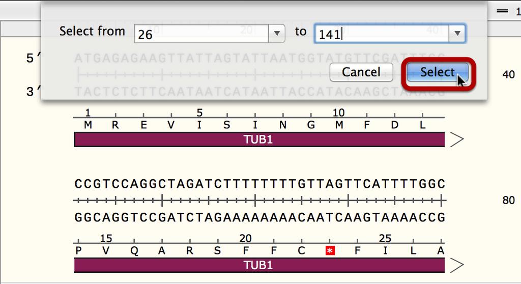 The intron has not yet been specified, and as a result, the translation contains stop codons.
