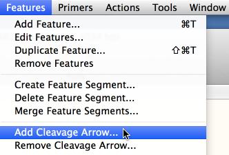 exists. To specify the cleavage arrow location, click within the DNA sequence in Sequence view to place an insertion point cursor.