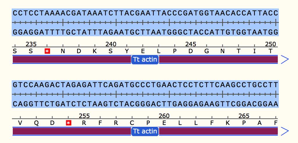 Set the Genetic Code for a Feature How can I specify a nonstandard genetic code for a translated feature?