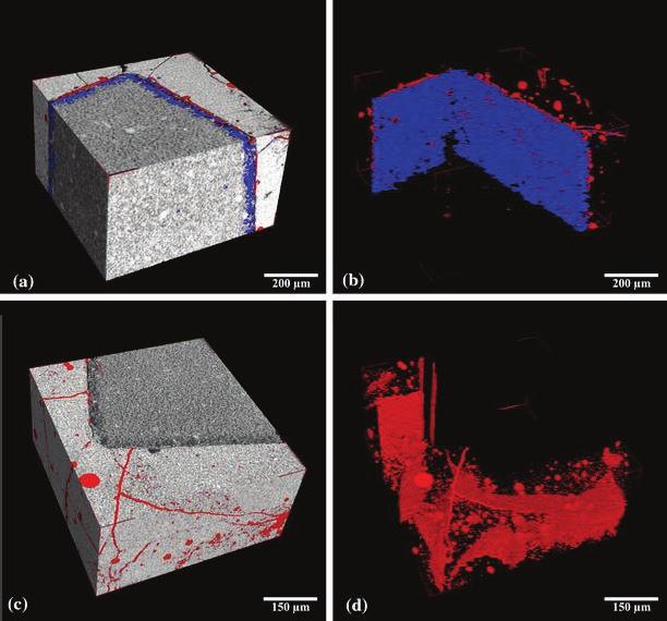 ASR 3D-reconstruction of chert in it_06: a subvolume rendering showing dissolution zone in chert (blue) and debonding (red); b iso-surfaces rendering of same volume; c rendering of the subvolume with