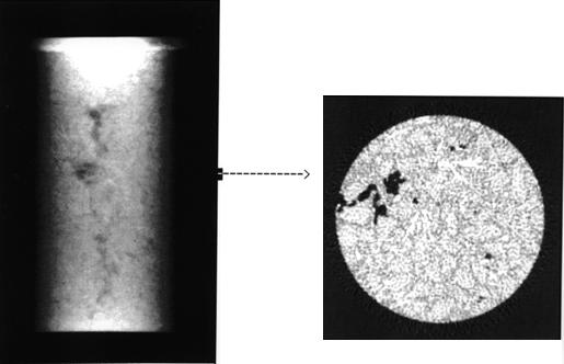 Large samples Radiographic (left) and CT image (right) images of the loaded fiberreinforced concrete cylinder H.E. Martz, D.J. Schneberk, G.P.