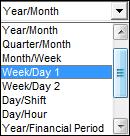 Date Format Type Calendar displays a normal calendar. Fiscal Year displays the fiscal year in the year line.