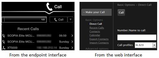 Starting a New Call Procedure 1. To call a new endpoint, access the direct call screen. From the XT Series web interface, select Make your Call > Basic Options > Direct Call.