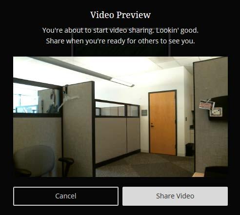 A Video Preview window will appear. When you re ready for others to see you, select the Share Video button.