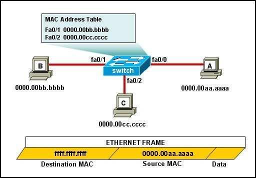 The MAC address table is shown in its entirety. The Ethernet frame that is shown arrives at the switch. What two operations will the switch perform when it receives this frame? (Choose two.) A.