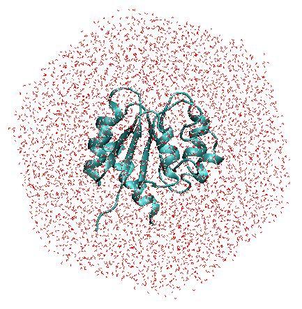 CHARMM and MD simulations CHARMM is one of the most widely used programs for computational modeling, simulations and analysis of biological (macro)molecules The widest use of CHARMM is for molecular