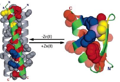 Sample Engagement: Kuhlman Lab Using OSG to design proteins that adopt specific three dimensional structures and bind