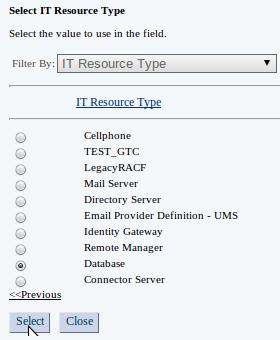 Provide the information given in the table below. Please note that the IT Resource Type must be selected as Database.