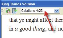 Changing Translations 1. You can change the translation of an open Bible by selecting the button. Parallel and Bible Comparison - Options In this case, the KJV would be changed to the Amplified.