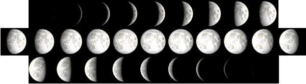 The main purpose is the active of most animals, which have a relation with the moon phase.
