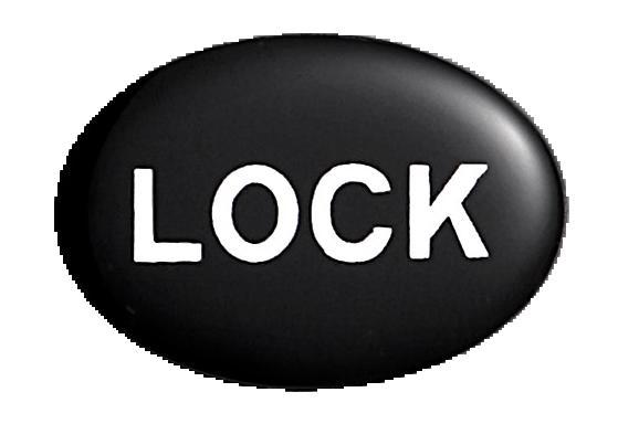 3. Press the lock's handle