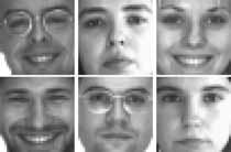 Figure 7: We choose a subset of face images from the Caltech-1 object categories, and use it for the experiment of recognizing faces with uncontrolled lighting conditions.