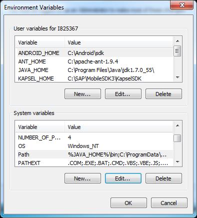 Set Up Path Variables Set Path Variables for Windows In order to fully set up the environment, you will need to configure Windows Environment Variables.