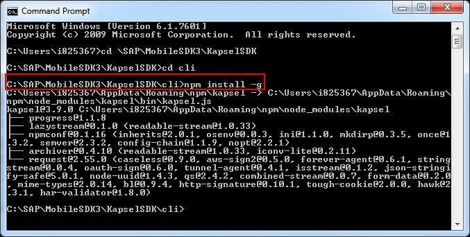 Windows Command Prompt and run npm install g from