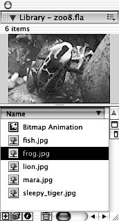 4) Select the frog.jpg bitmap in the Name column. When you select a bitmap in the Library panel, you will see a thumbnail of the graphic.