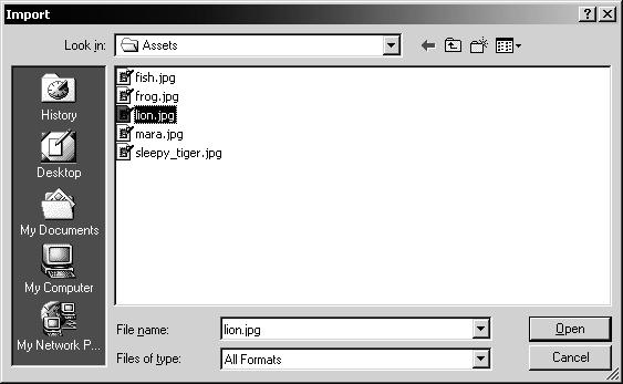 3) With the Main Page Bitmaps layer selected, choose File > Import.