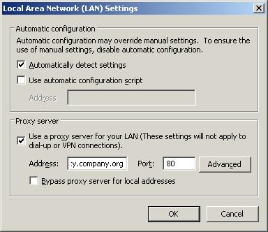 A checkmark on the Use a proxy server for your LAN means that the internet connection uses a proxy server specified in the Address