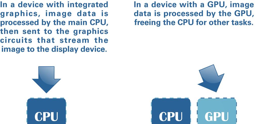 Display Devices A graphics card contains a graphics processing unit (GPU) and a