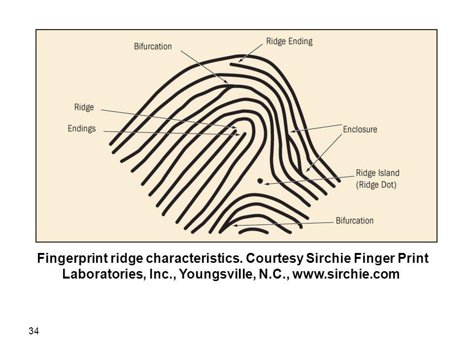Fingerprint Characteristics CIS