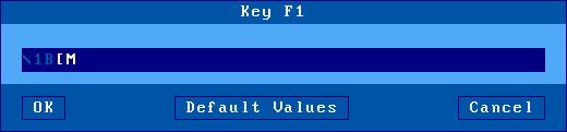 Installing under UNIX/LINUX There are three groups of programmable keys: - From F1 to F48: function keys used singly or with a modifier key.