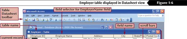 Using a Database - MS Access Navigate a Database Table You can navigate through