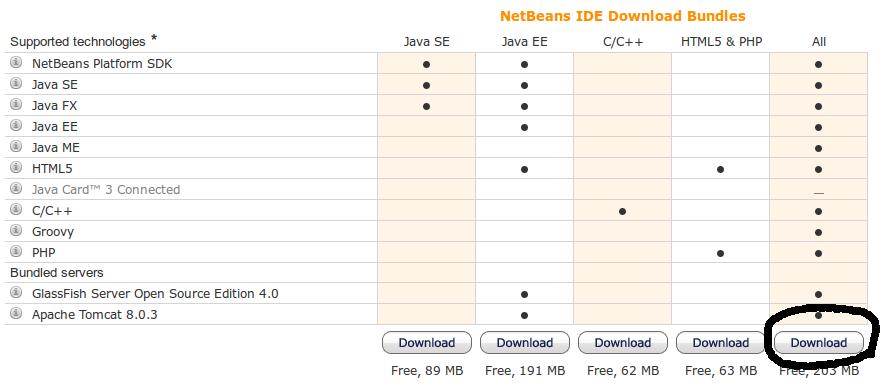 NetBeans There are many different IDEs for web development, all have their pros and cons. NetBeans will be used for examples during the course.