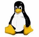 Standard C/C++ libs Operating System layer 64-way SMP Linux Zero Overhead Linux Bare metal