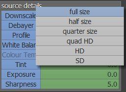 The Downscale dropdown allows rescaling of the source data as follows: 4k imports as: full size, half size, quarter