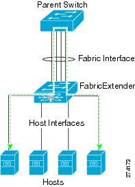 Management Model Overview Management Model Forwarding Model The Cisco Nexus 2000 Series Fabric Extender is managed by its parent switch over the fabric interfaces through a zero-touch configuration