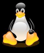 Install GC on a Linux