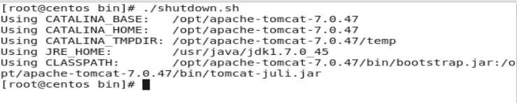 will tell the system where your tomcat is, Next is to verify Ant version followed by Maven version, its installation path and which java it