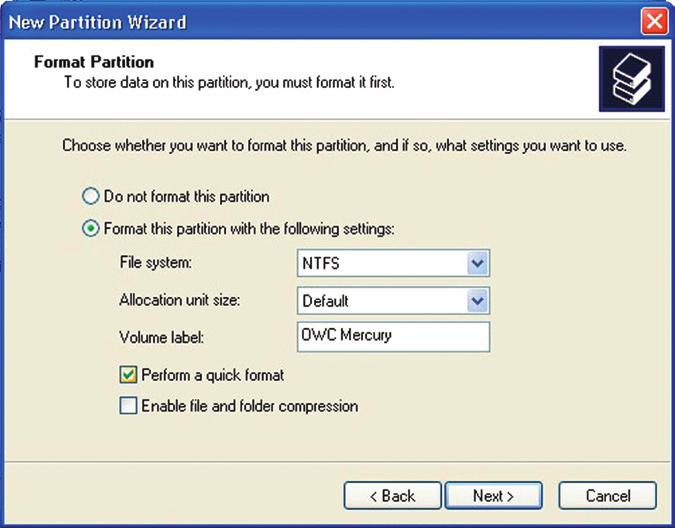 On most systems running Windows 2000 or later, it is advisable to specify the file system as NTFS.