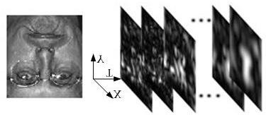 a novel face representation method that not only describes the neighboring relationship in the spatial domain, but also depicts the neighboring changes during different scales and orientations.