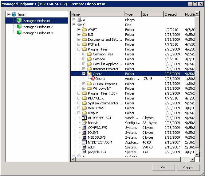 The file system in the selected computer will be displayed in the right hand side pane.