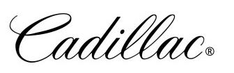 Expression Cadillac s use of script font embodies their motto of