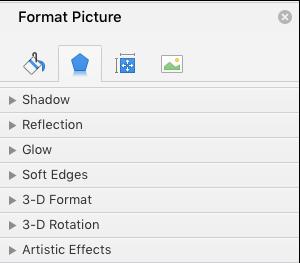 Figure 7 - Format Figure 8 Format Options - Picture 5.