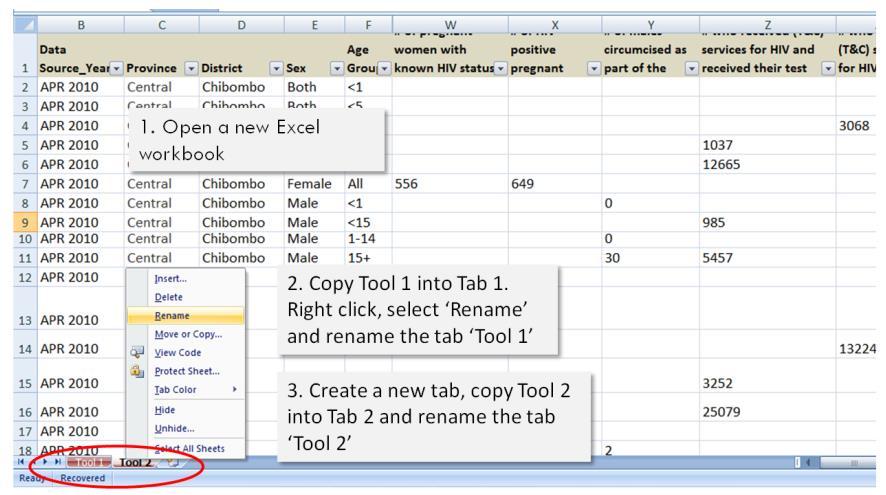 To compare the contents of the two Tools, first open a new workbook and copy Tool 1 and Tool 2 into separate tabs in this new workbook.