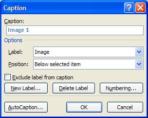 Using Captions with Images A caption is a numbered label, such as Figure 1, that you can add to a figure, a table, an equation, or another object. To add a caption, 1.