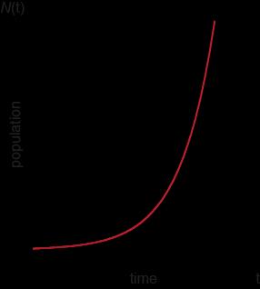 Exponential Growth The graph crosses the y-axis at. The asymptote is Exponential Decay The graph crosses the y-axis at.