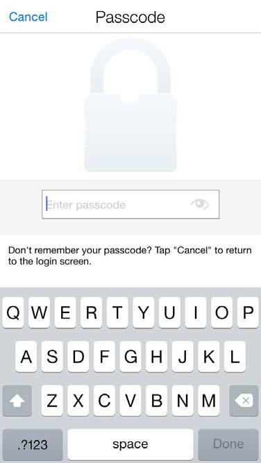 SETTING PASSCODES When users log in to CardNav by CO-OP 3.