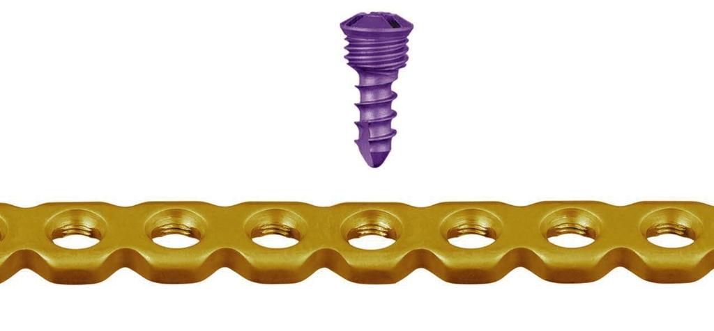 2.4 mm Locking Screws and Plates 2.4 mm and 3.0 mm Locking Screws Cruciform recess Color-coding assists in locking screw size identification: 2.4 mm locking screw is purple, the 3.