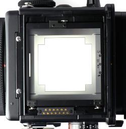 The image area of the Mamiya RZ67 Pro IID at 56 x 69.