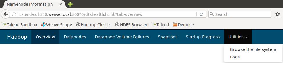 Execute the Demo: View the data in HDFS.. Open Firefox. Click on the bookmarked link titled HDFS Browser 3.